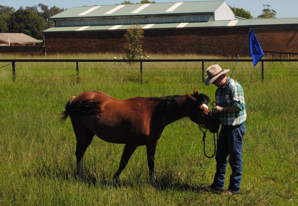 Young Rio getting a pat