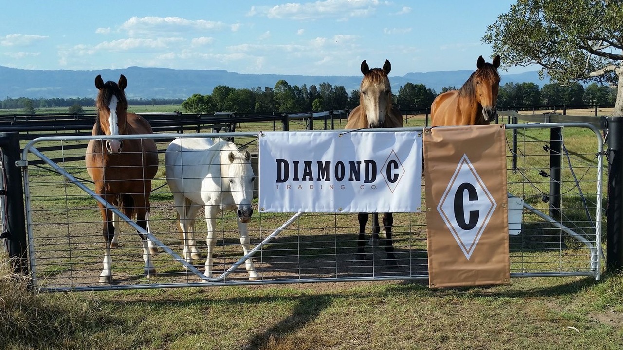 Diamond C Trading Co sign with horses